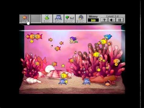 insaniquarium|insaniquarium play free online.